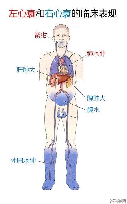 flora富兰官网 | 护士茶 | udo油 | 益生菌| 加拿大百年有机营养品